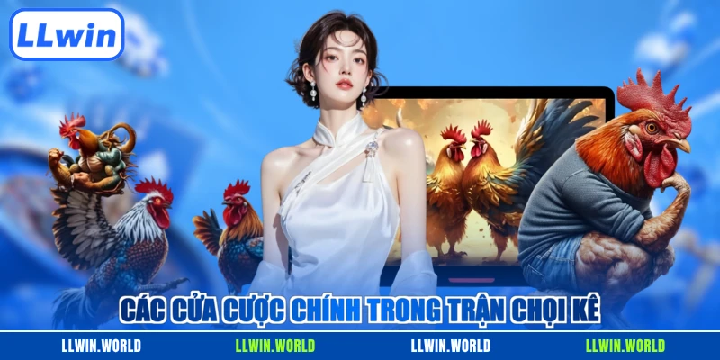 Các cửa cược chính trong trận chọi kê