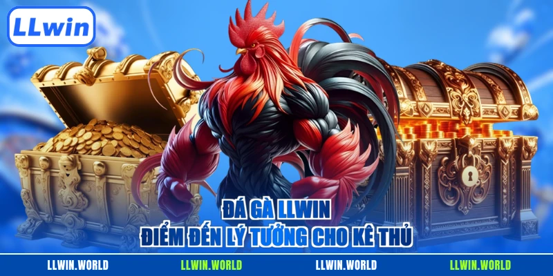 Đá gà LLWIN điểm đến lý tưởng cho kê thủ