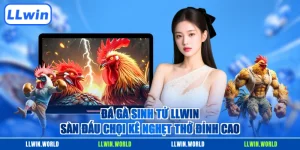 Đá Gà Sinh Tử LLWIN - Sàn Đấu Chọi Kê Nghẹt Thở Đỉnh Cao